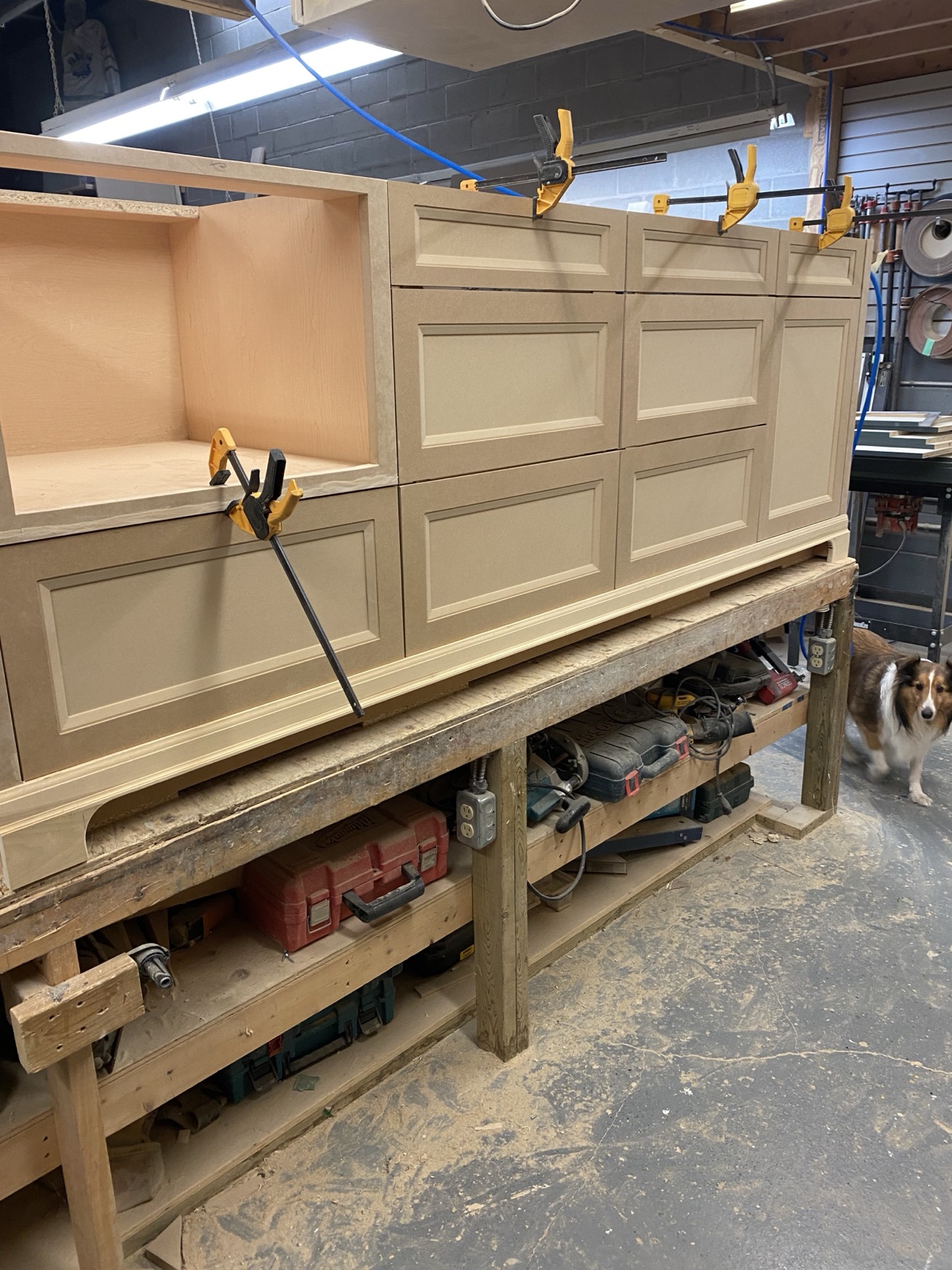 Kitchen renovation